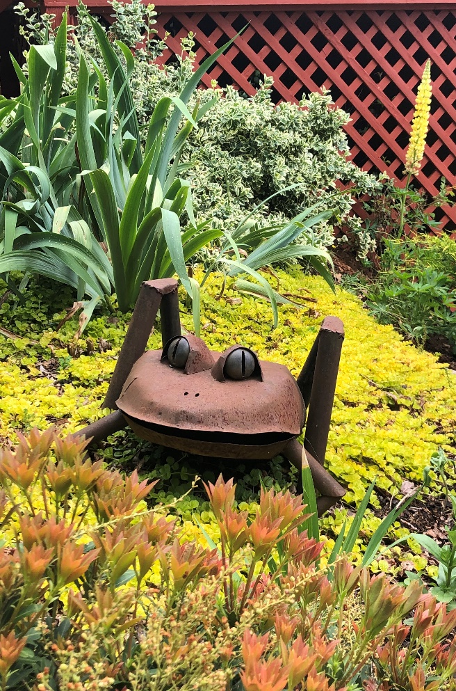 frog statue in the middle of beautiful yellow flowers