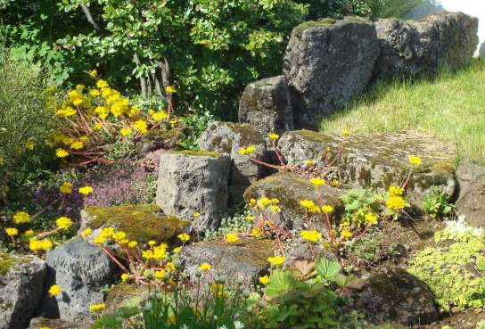 20 rocks in a line