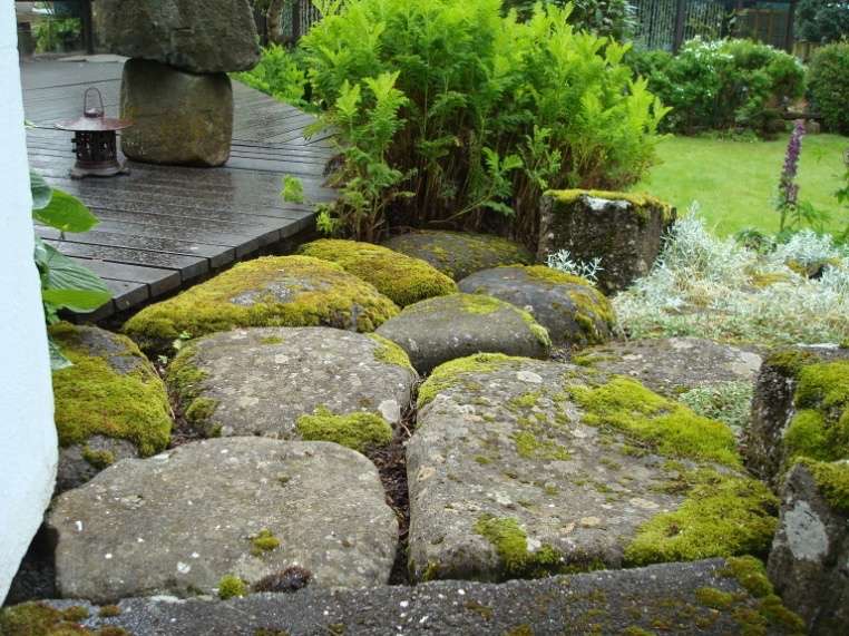 rock pathway to the deck