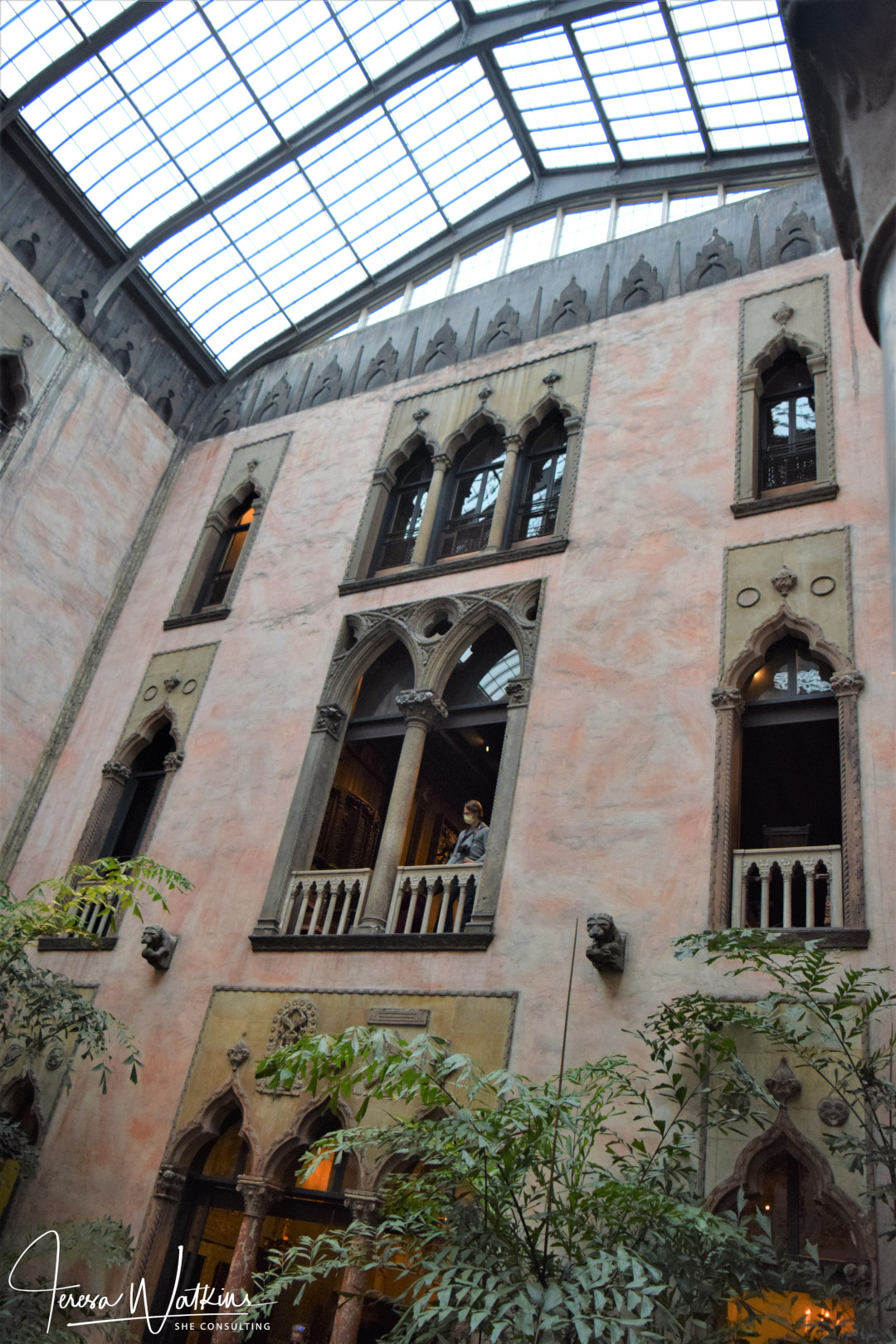 glass roof that allows the plants to thrive inside