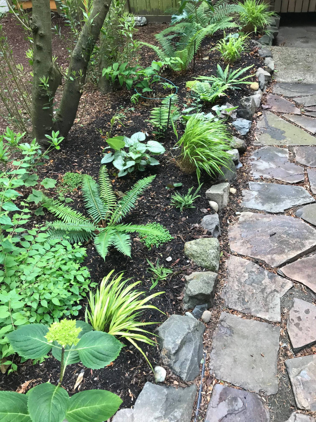 green garden bed alongside stone pathway