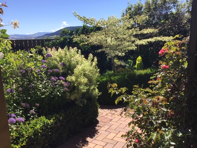 large bushes surrounding walkway 