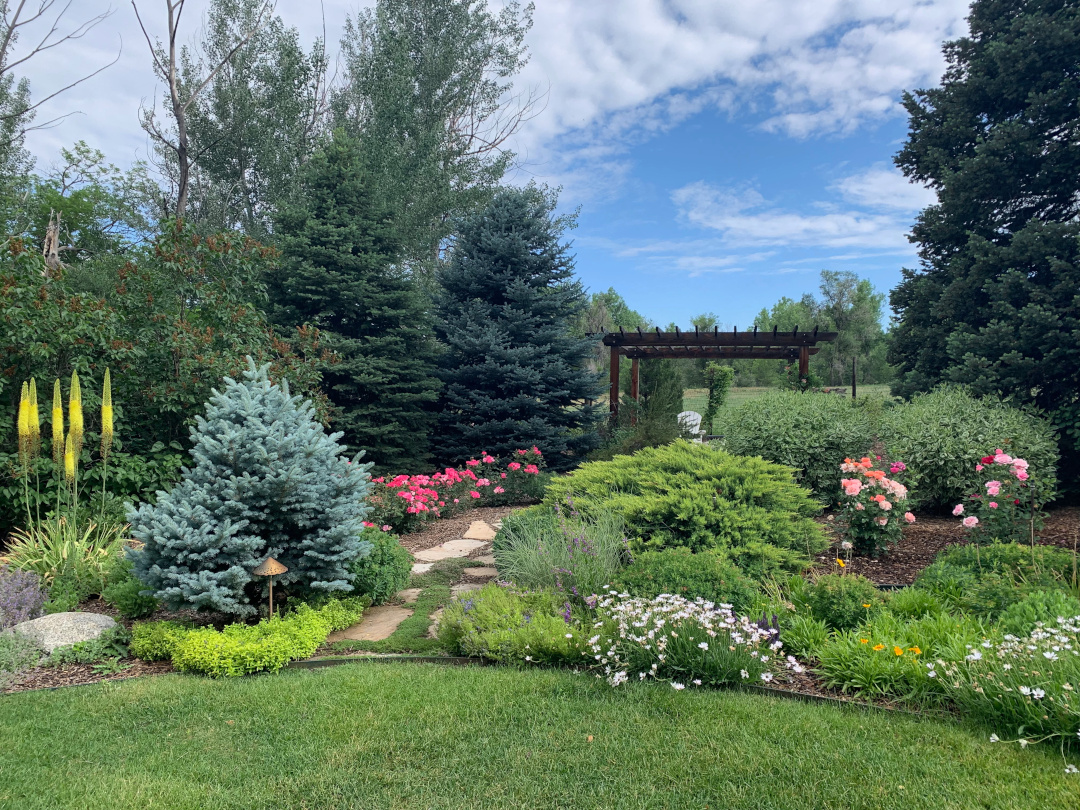 Back garden path filled with bushes and flowers