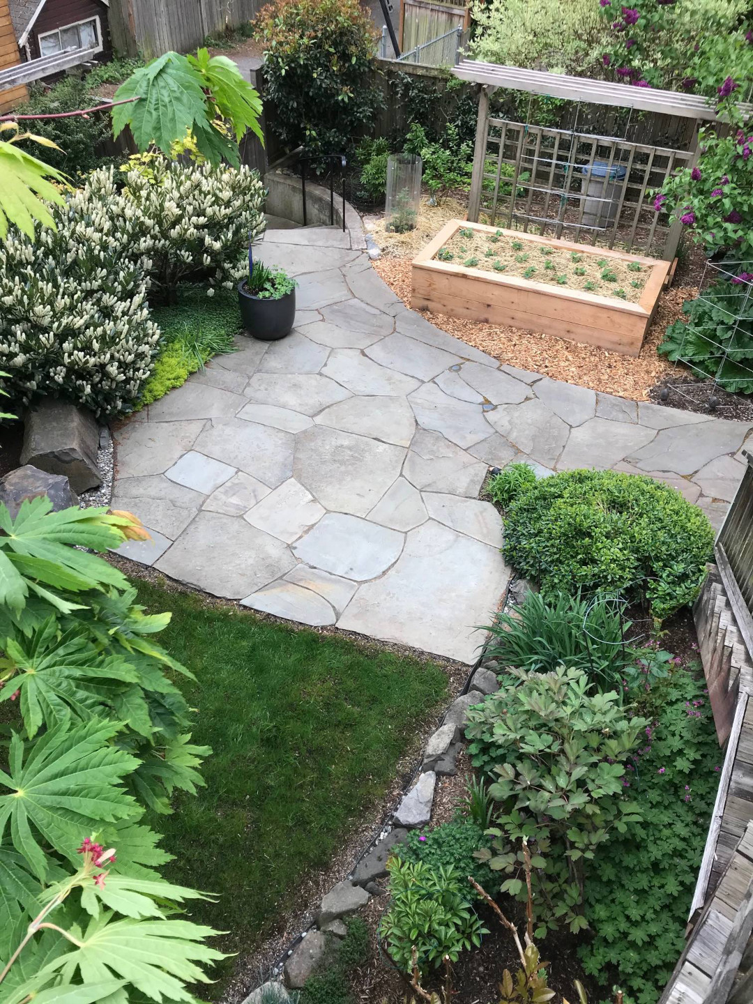 we had the stone walkway expanded to include an area for a fire pit and gathering space