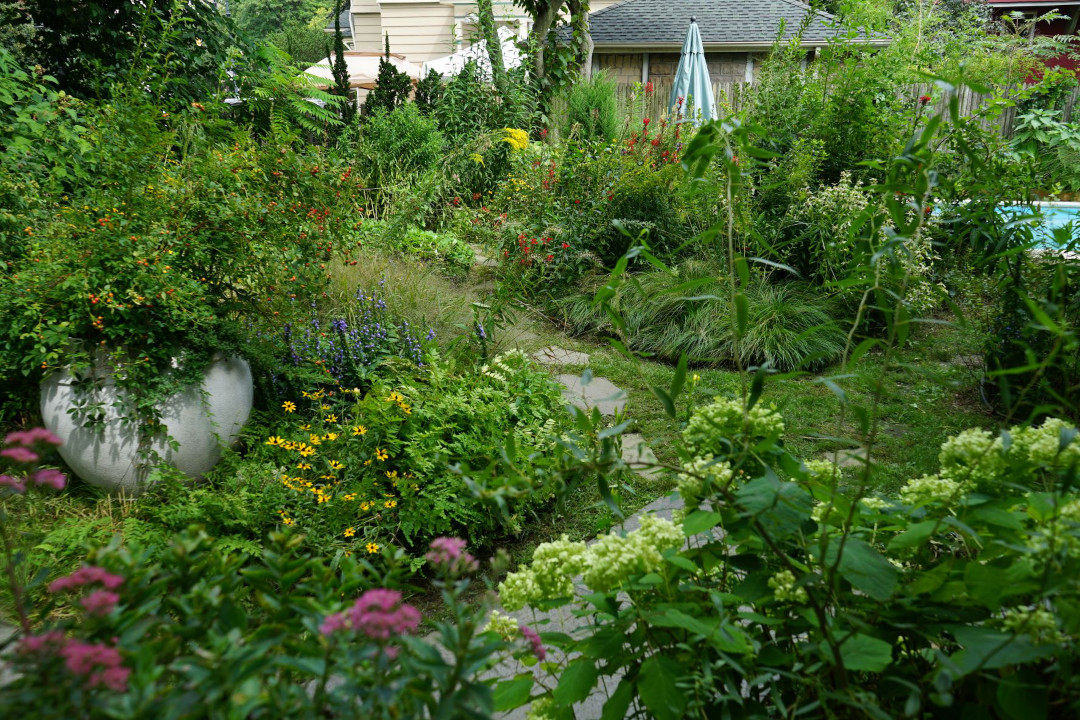 Brooklyn garden full of lush gardening