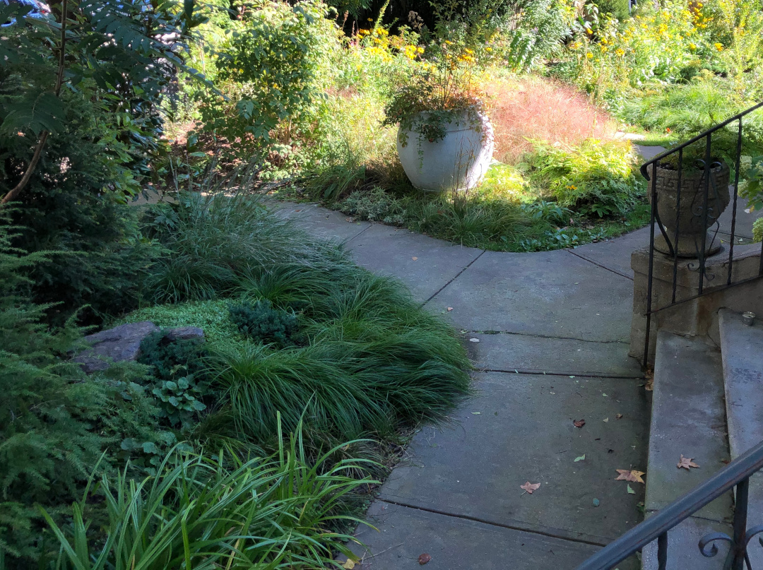 Steps from the house take you straight into the beauty of this garden.