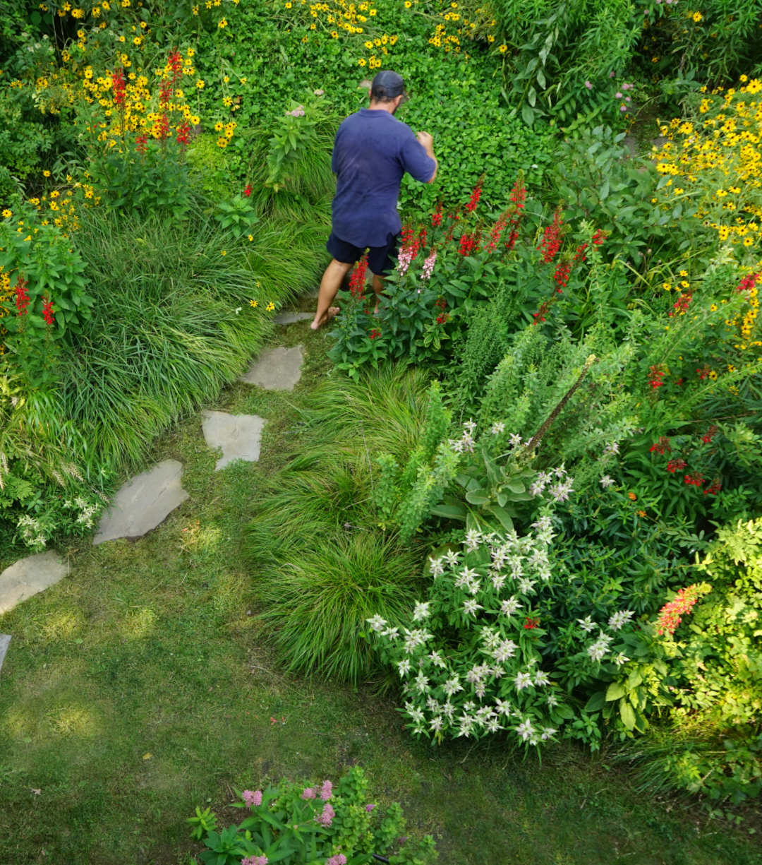 View of the flower-filled garden from above.