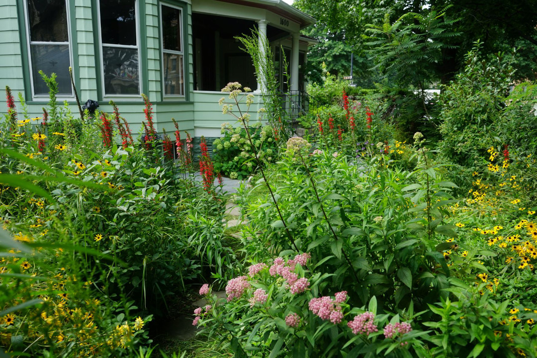 wide diversity of native plants