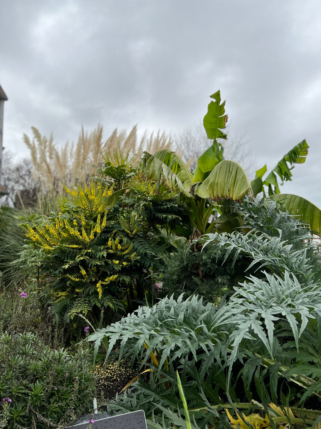 An impressive array of foliage