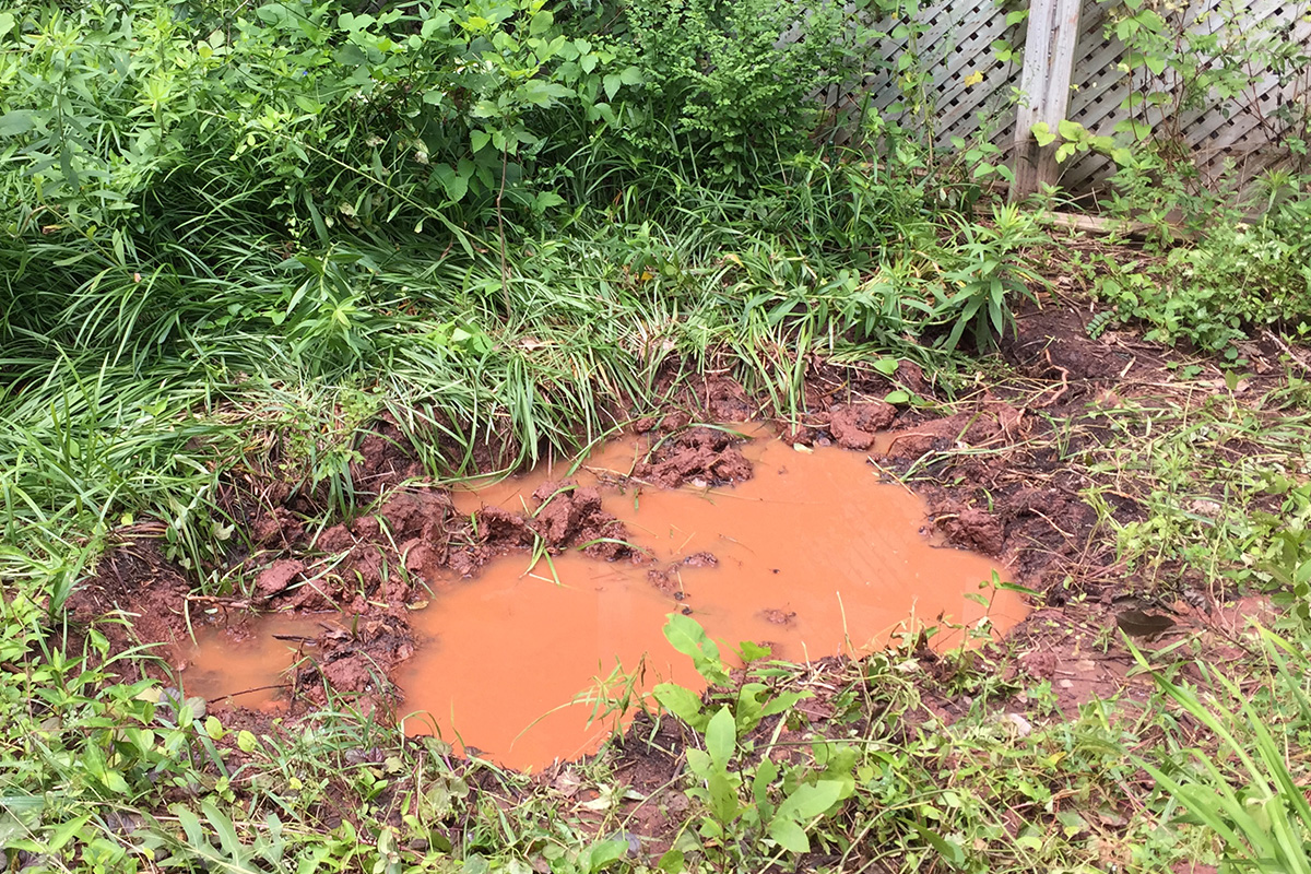 Drainage Solutions For Heavy Clay Soil Fine Gardening   RGSP JAN Toscano Poorly Drained Clay Soil In My Courtyard Prior To Amendment. 