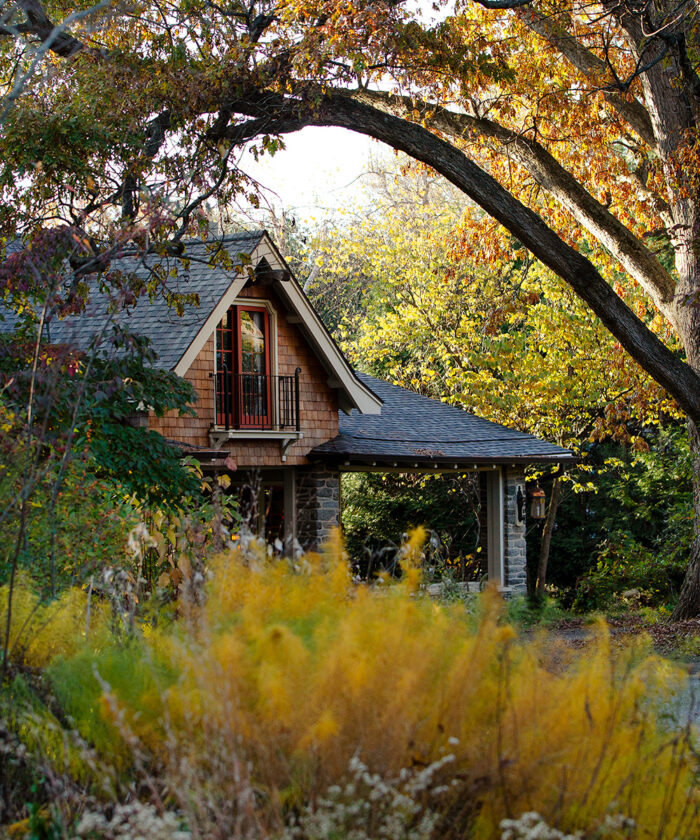 native lawn alternatives