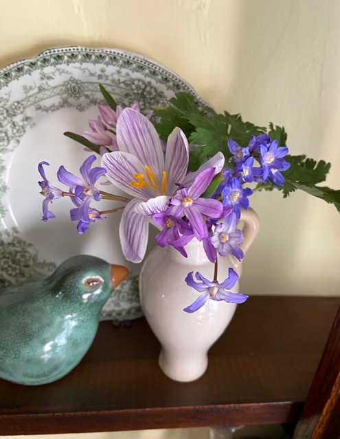 bouquet of purple flowers