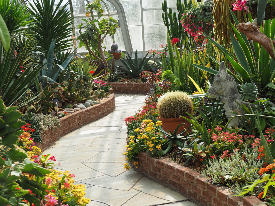 conservatory full of cacti and succulents