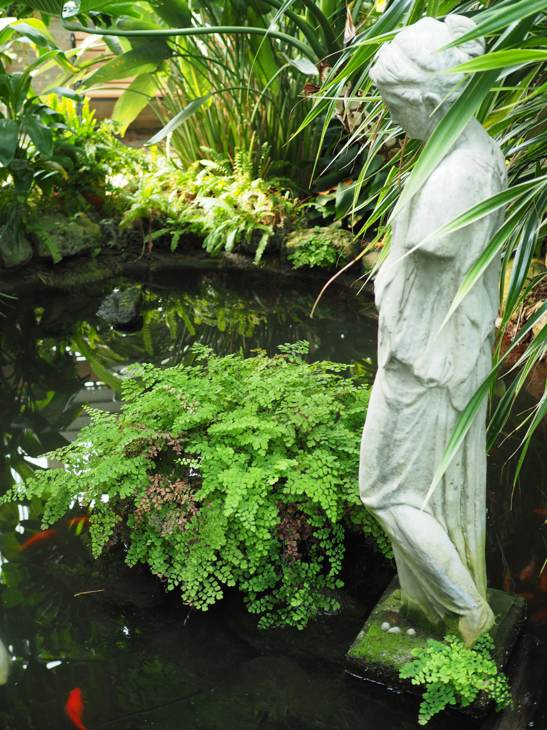 water feature with koi fish