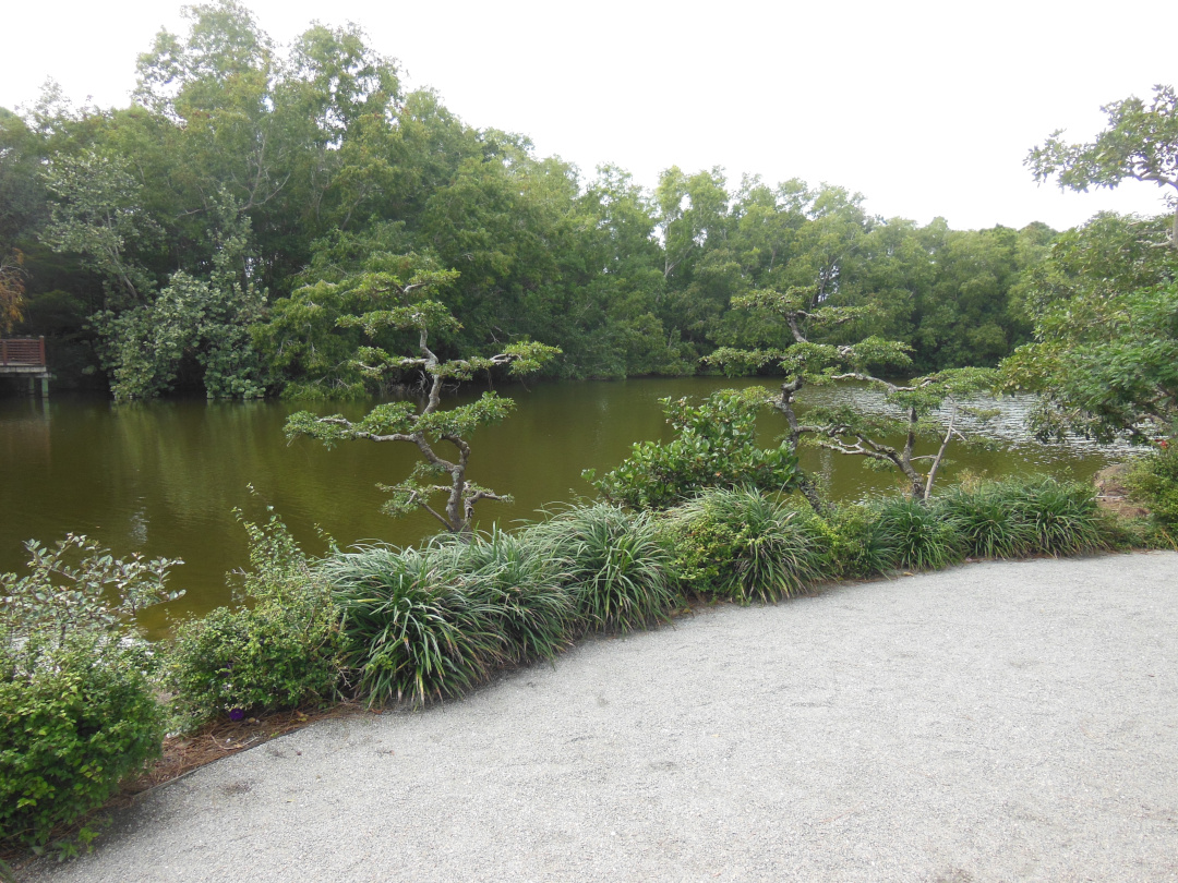 lake surrounded by ornamental grasses and trees