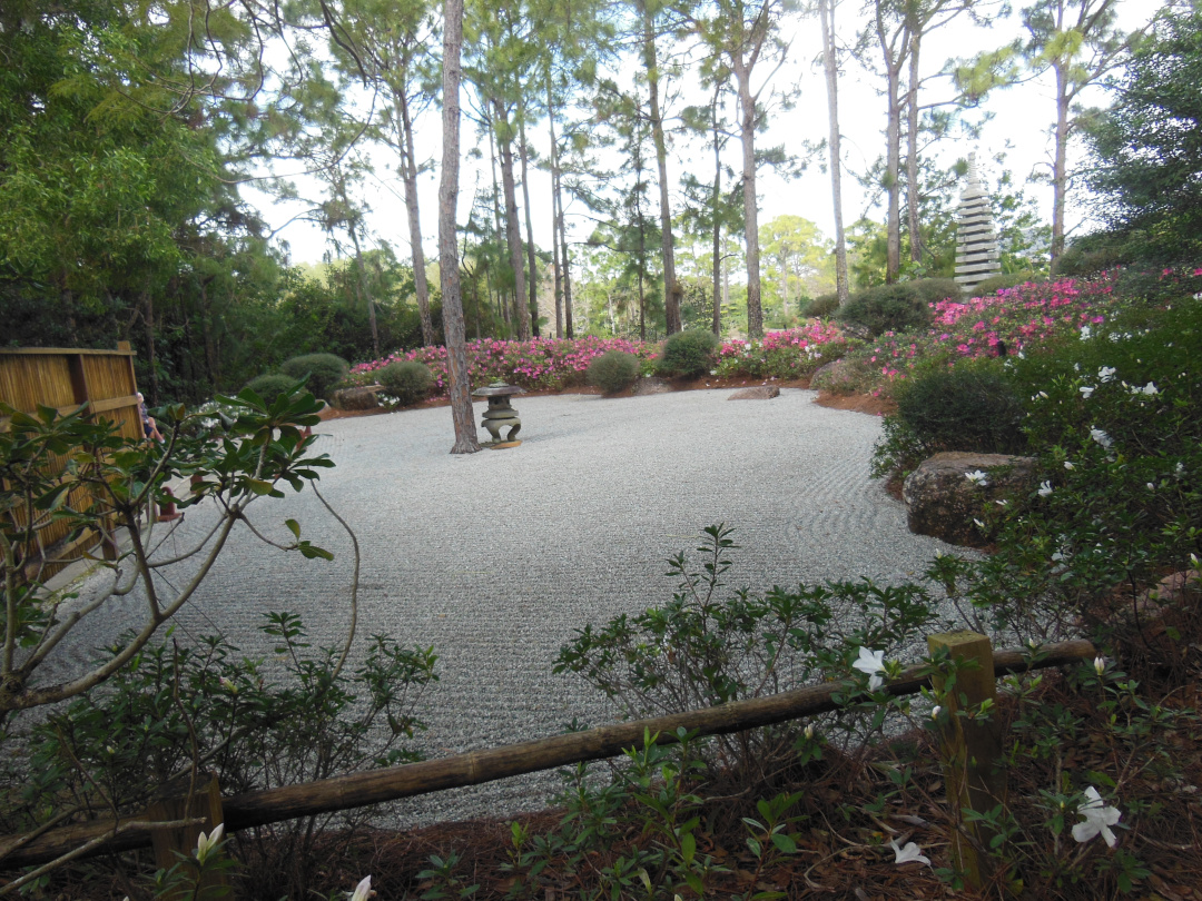 flowering shrubs around a Japanese rock garden