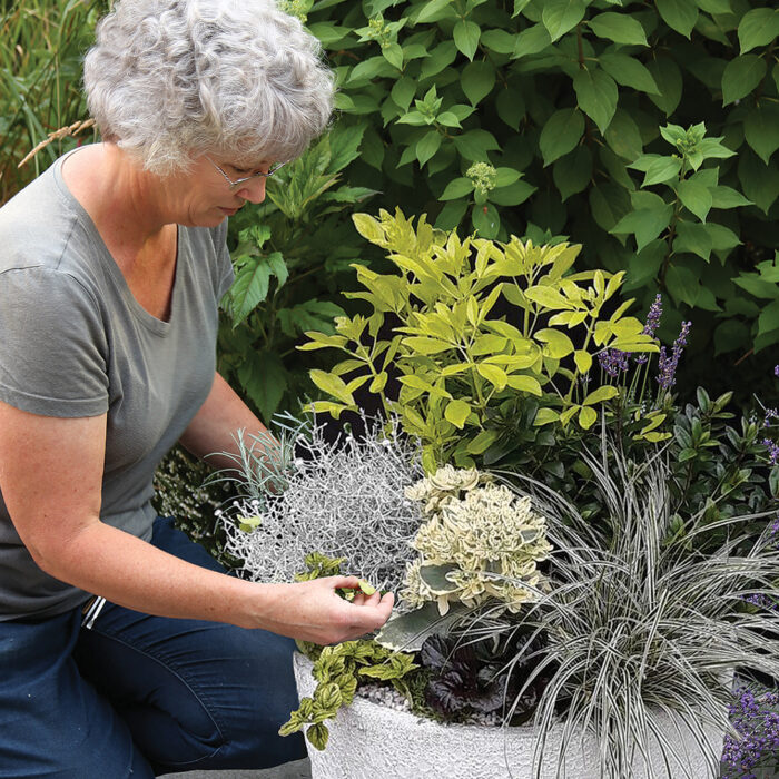 Everything You Need to Know About Container Gardening