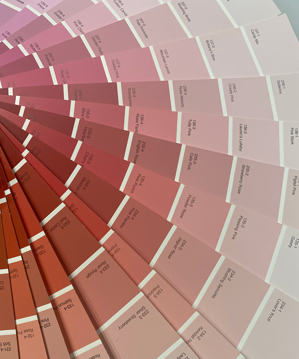 Powder Rose Color Palette