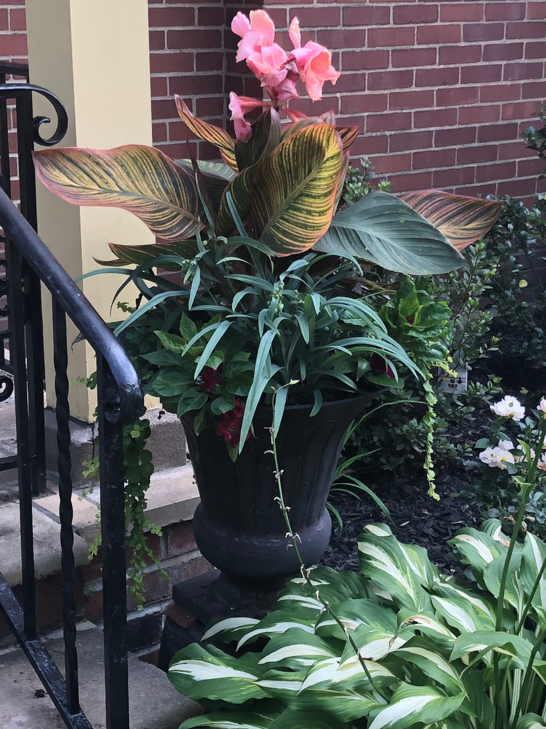 container planting with funky foliage