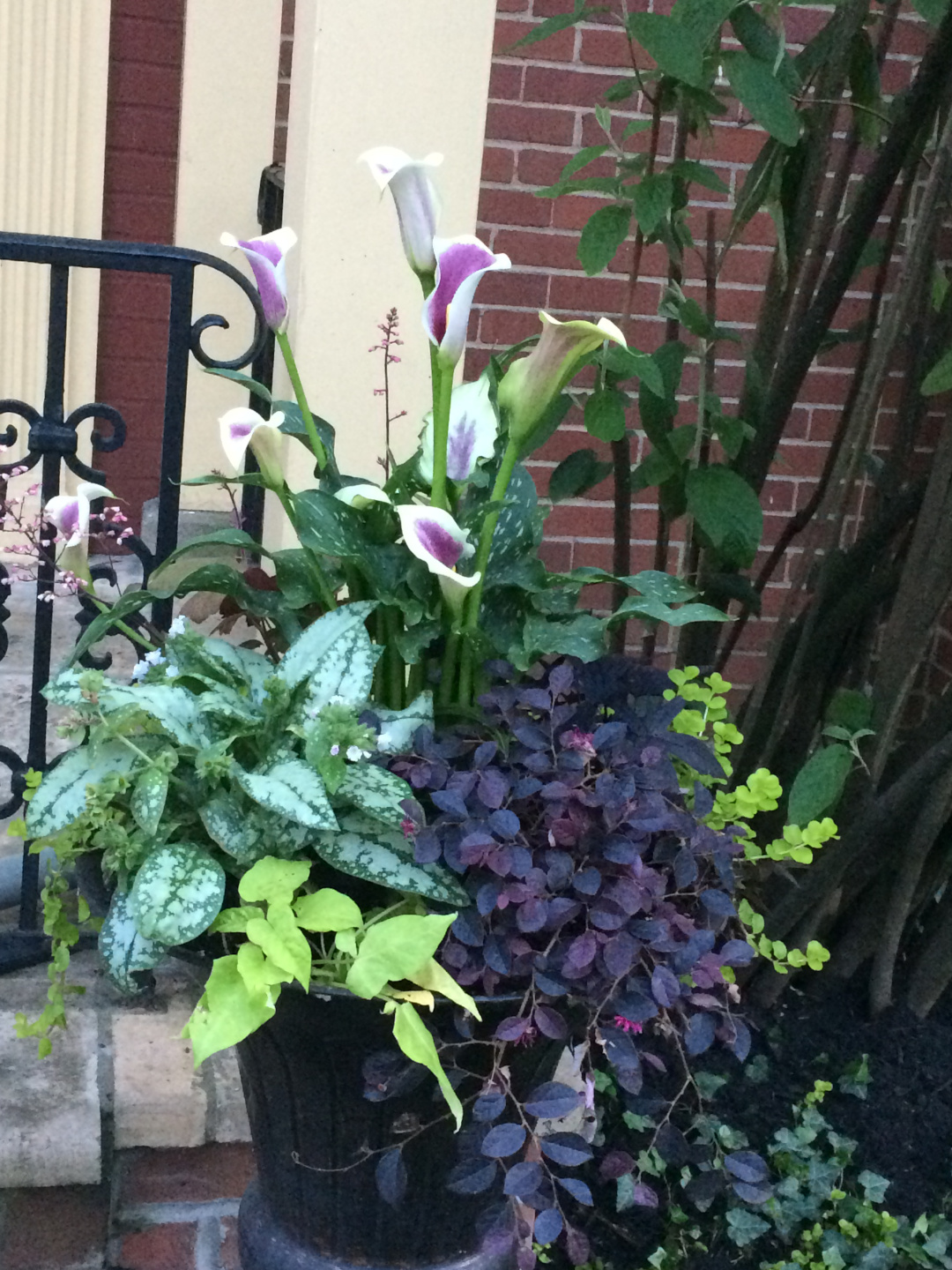 container with mainly purple plants and colorful foliage