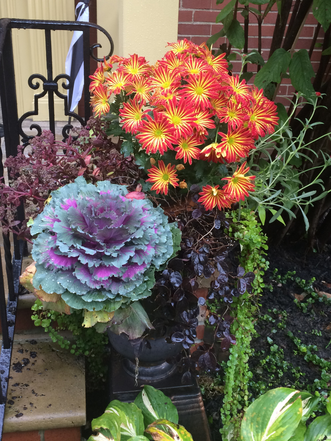 container full of fall plants