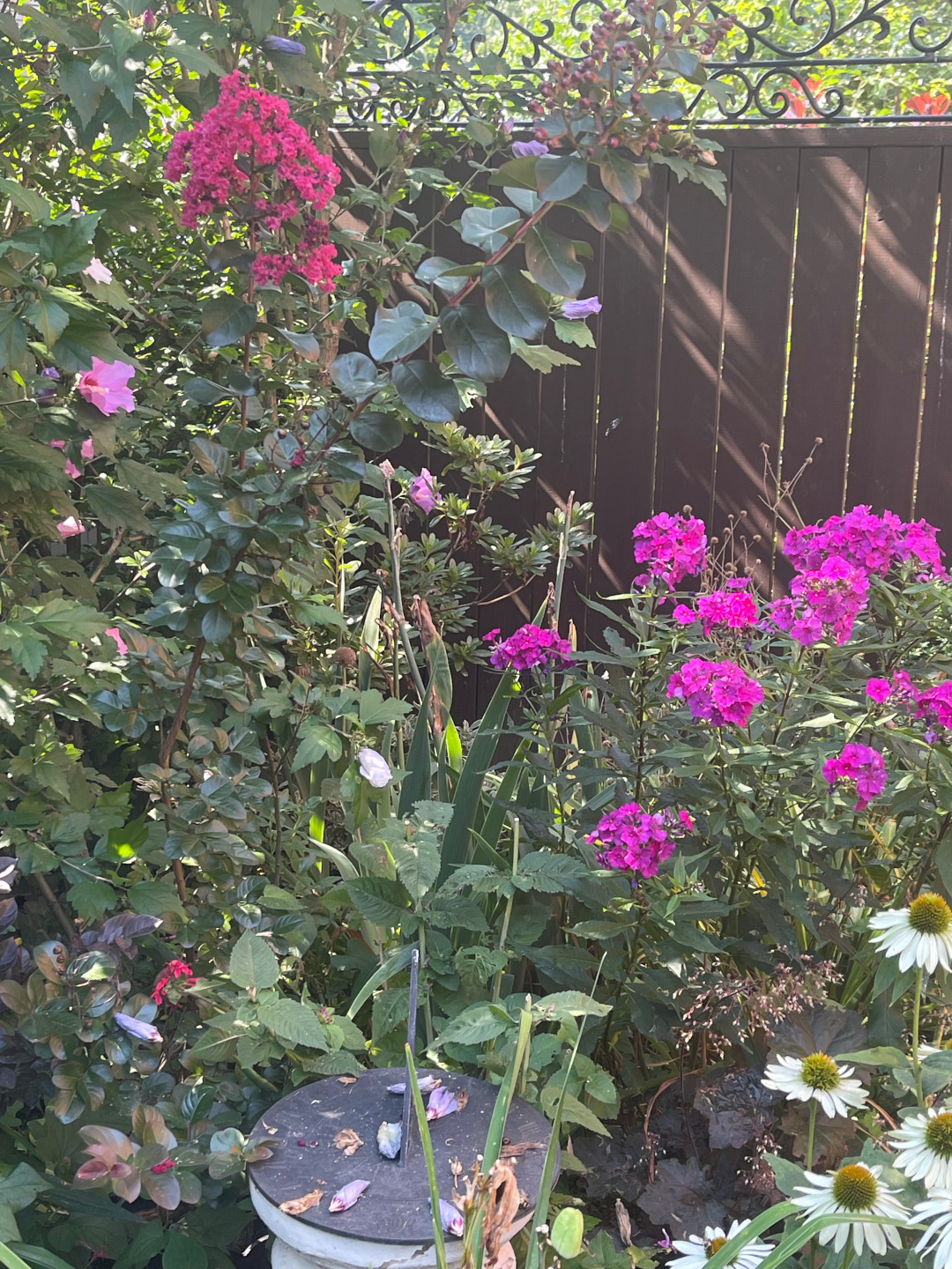 garden bed full of pink and white flowers