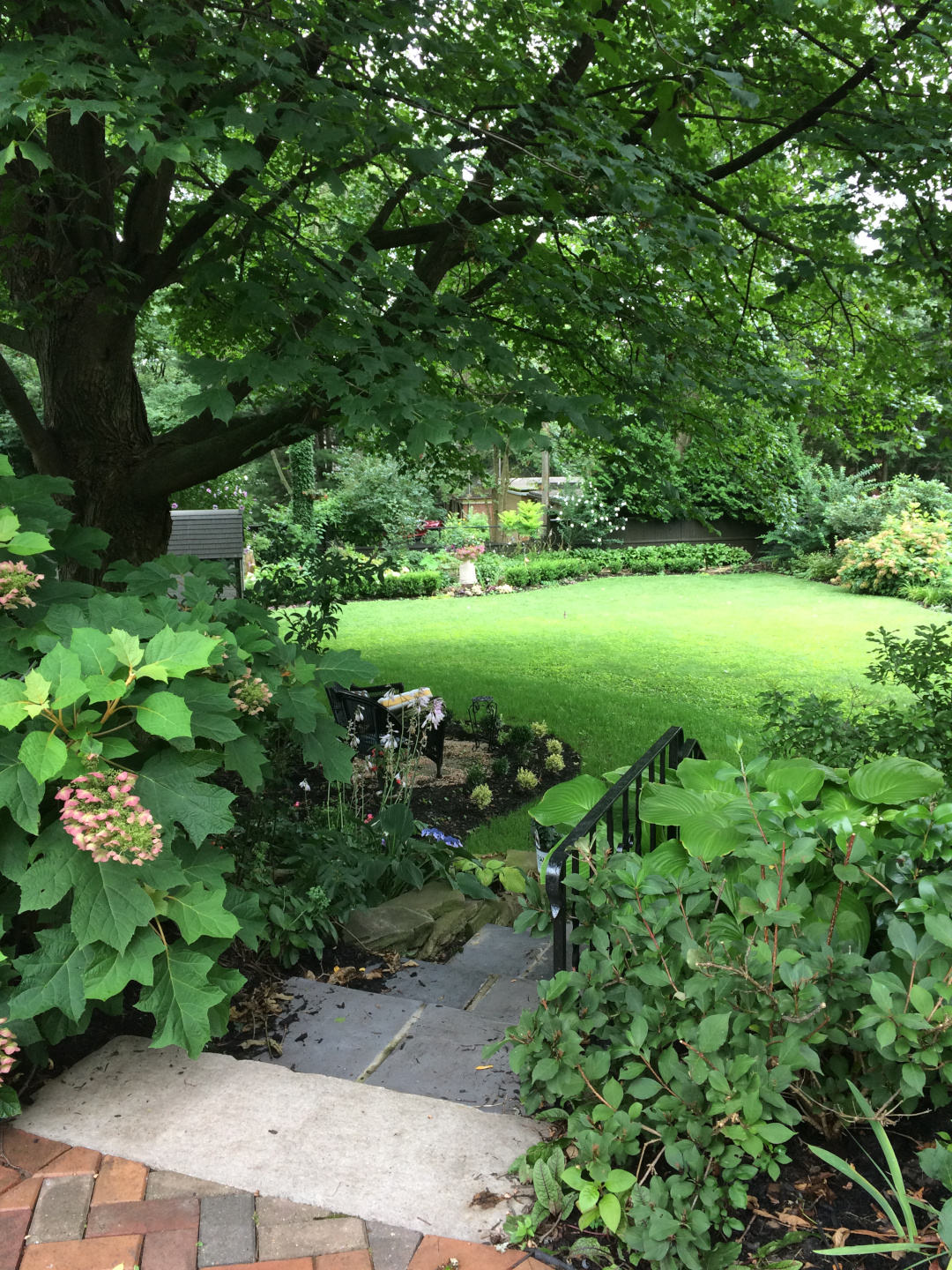 backyard garden full of greenery