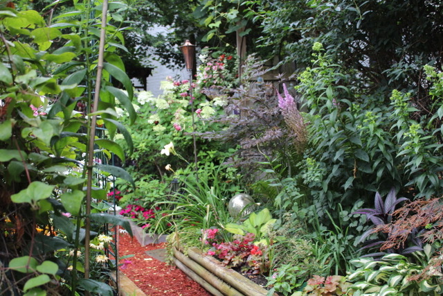 raised garden bed full of foliage plants