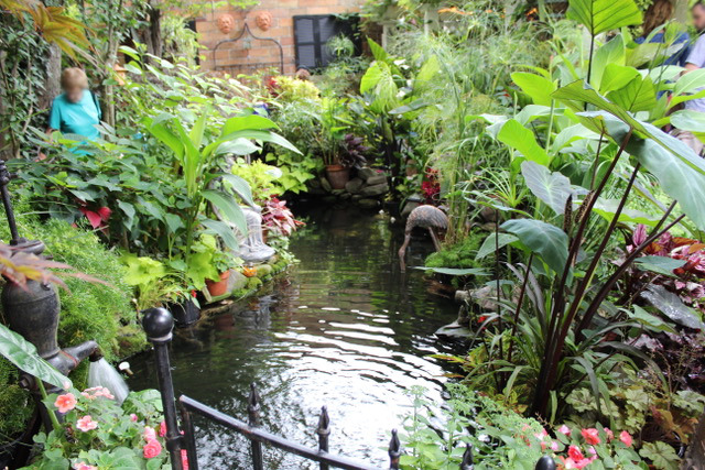 garden pond surrounded by plants