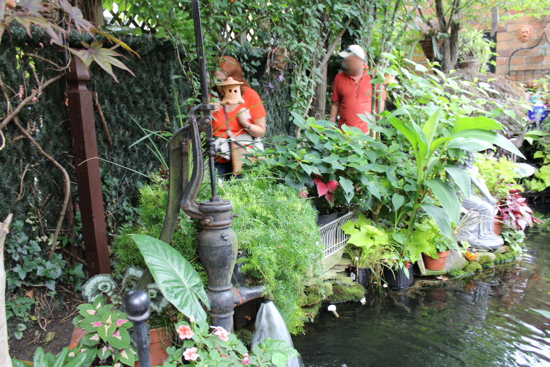 path behind the garden pond