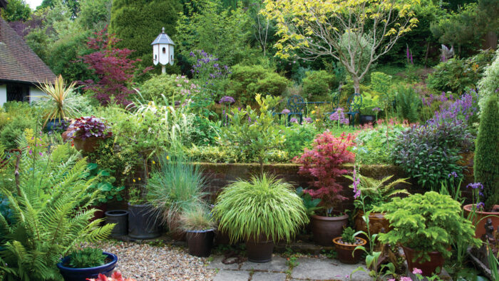 several container plantings in a garden