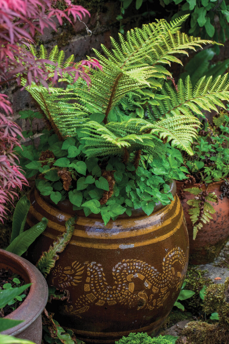 Six Ways to Improve Your Garden With Containers - Fine Gardening