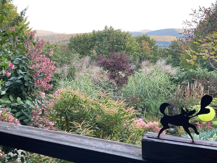 view of the garden from a deck