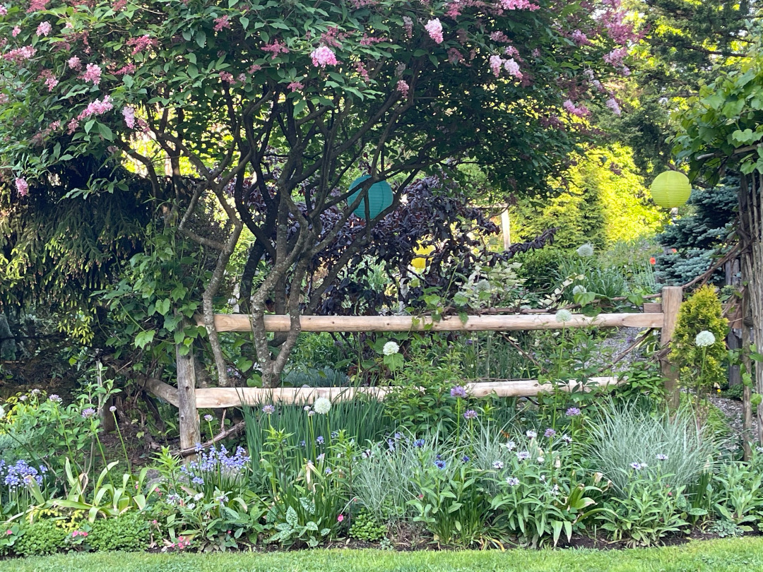 garden bed in front of a rustic wood fence with lots of flowers