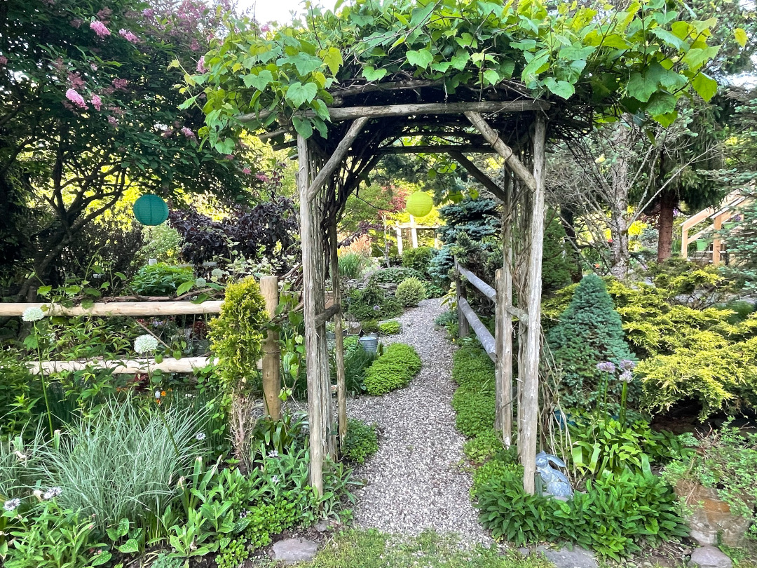 wooden garden archway surrounded by shrubs and evergreen plants