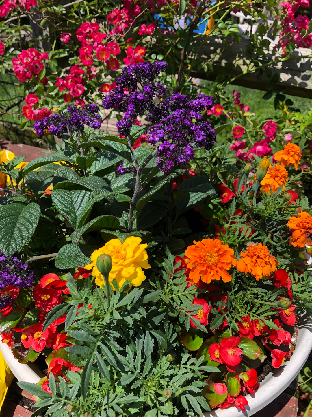 container with lots of bright, colorful flowers