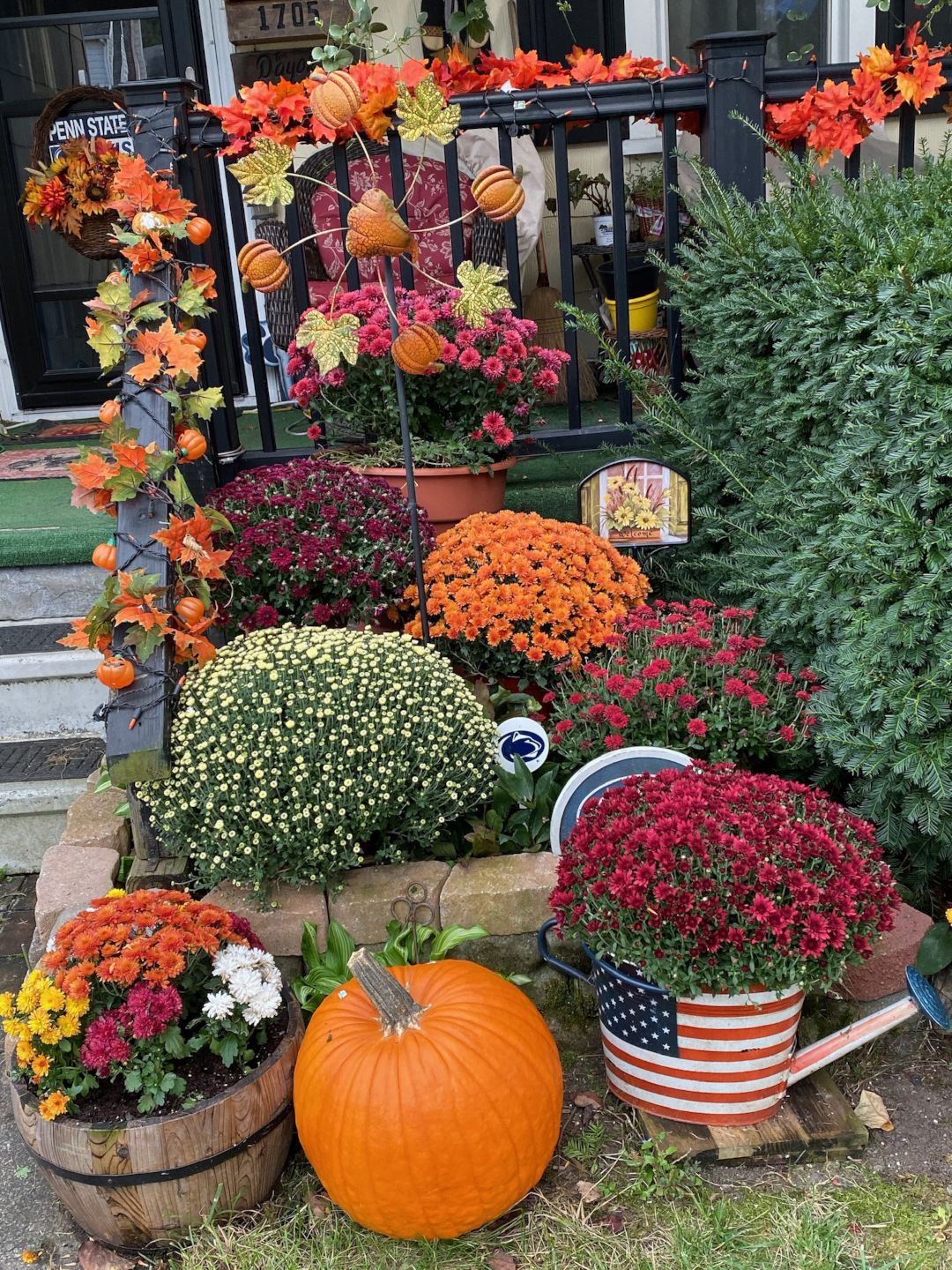 several different colored mums in containers