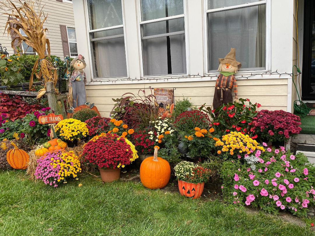 fall display of flowers and pumpkins