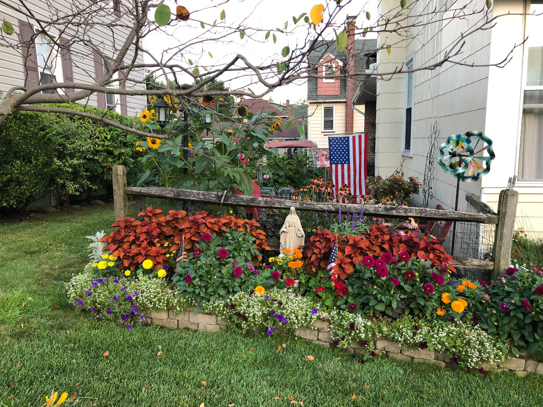 garden bed in front of a small wooden fence