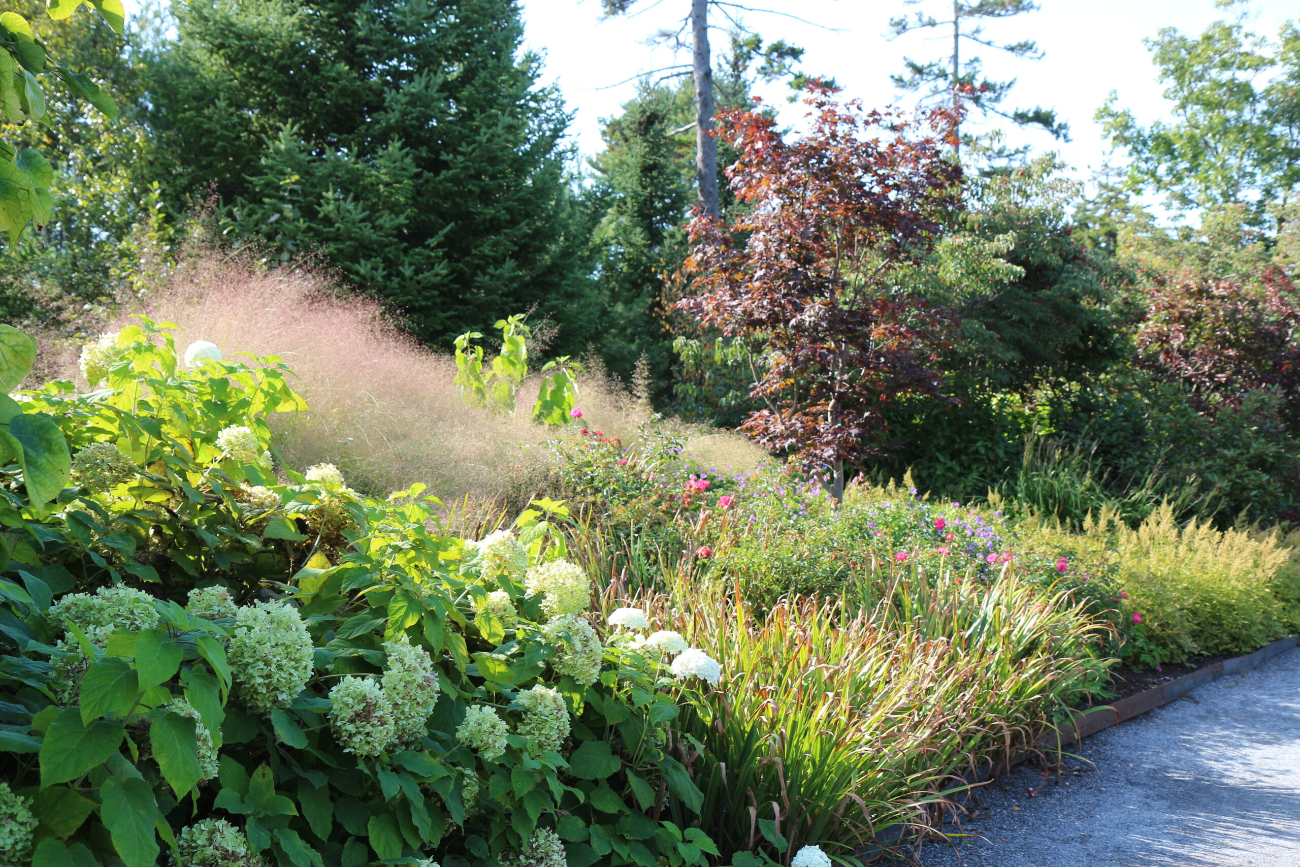 garden bed on a slope with large ornamental grasses