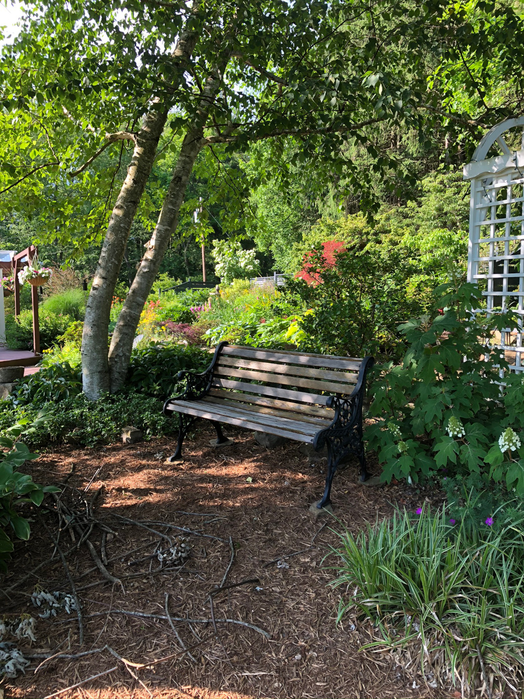 garden bench in a shady spot in the garden