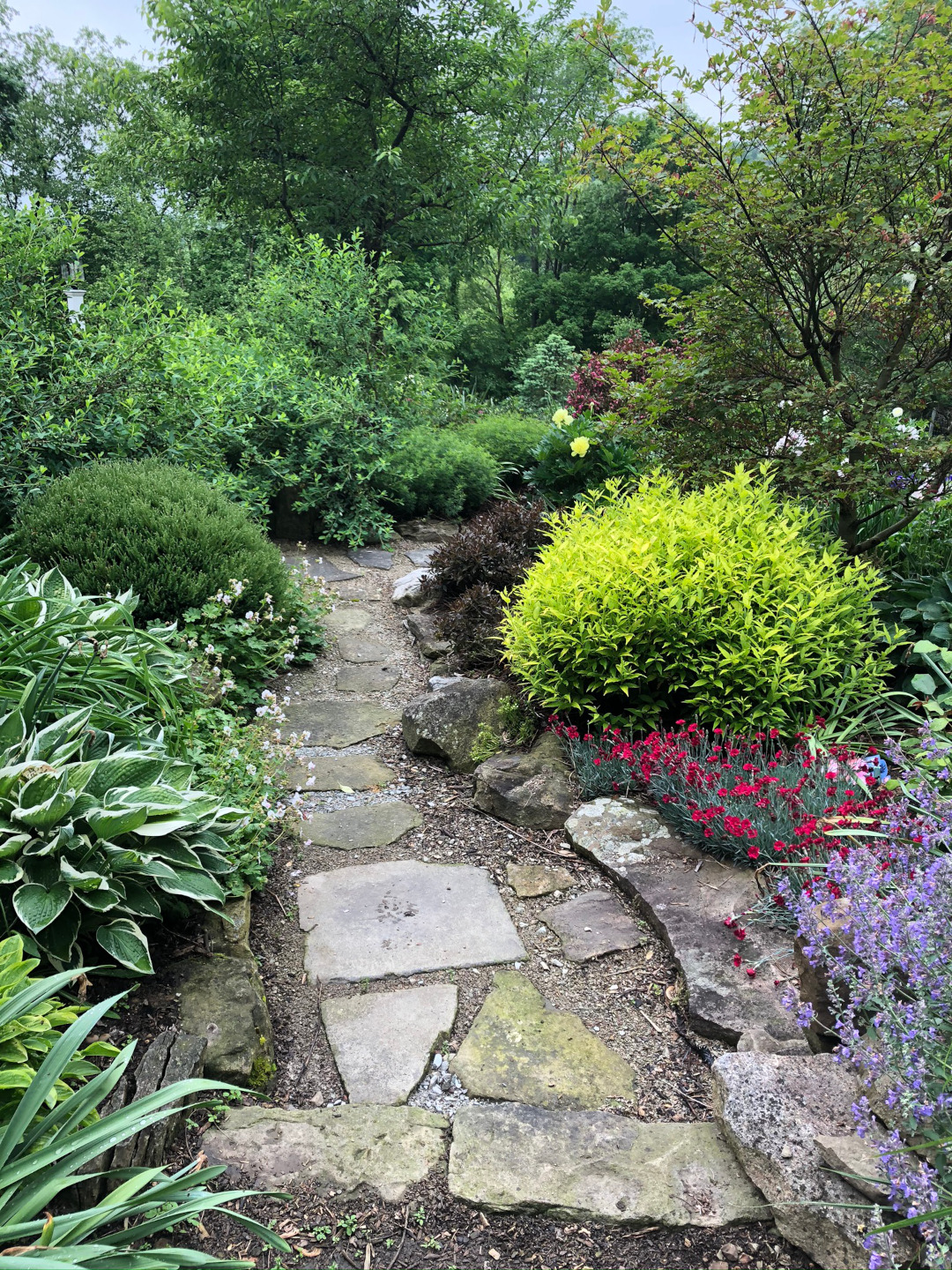 stone path through the garden surrounded by shrubs and perennials