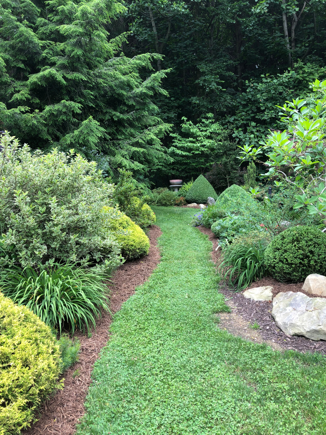 grass path with garden beds on both sides full of trees and shrubs