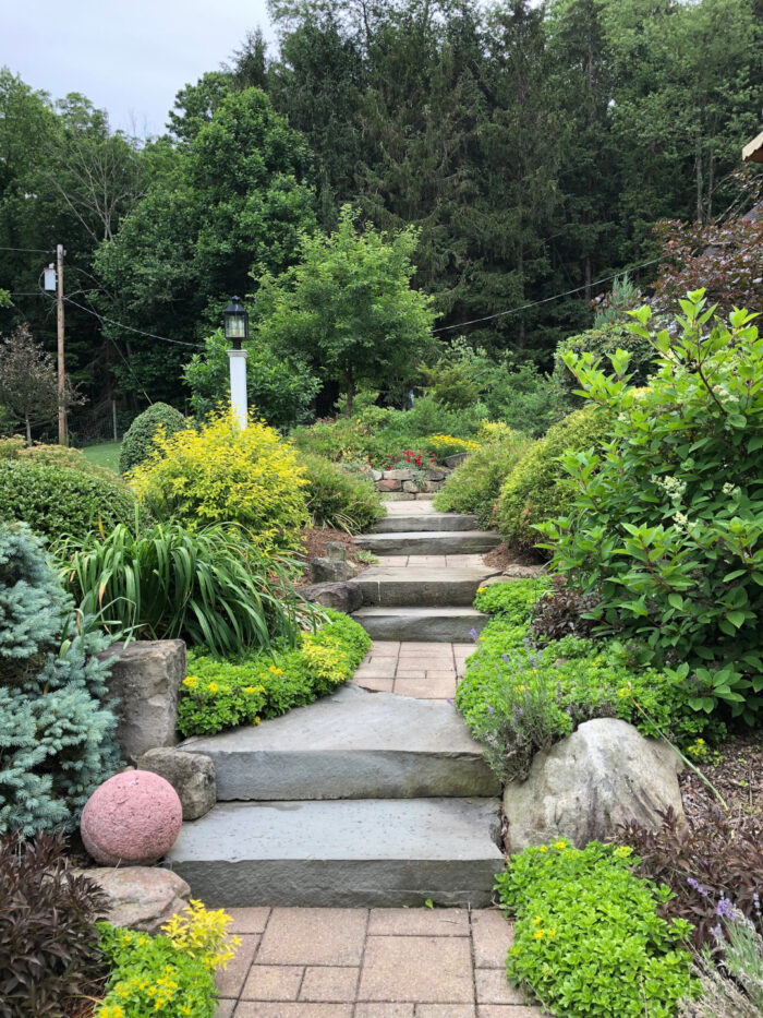 stone front steps with lots of plants on both sides