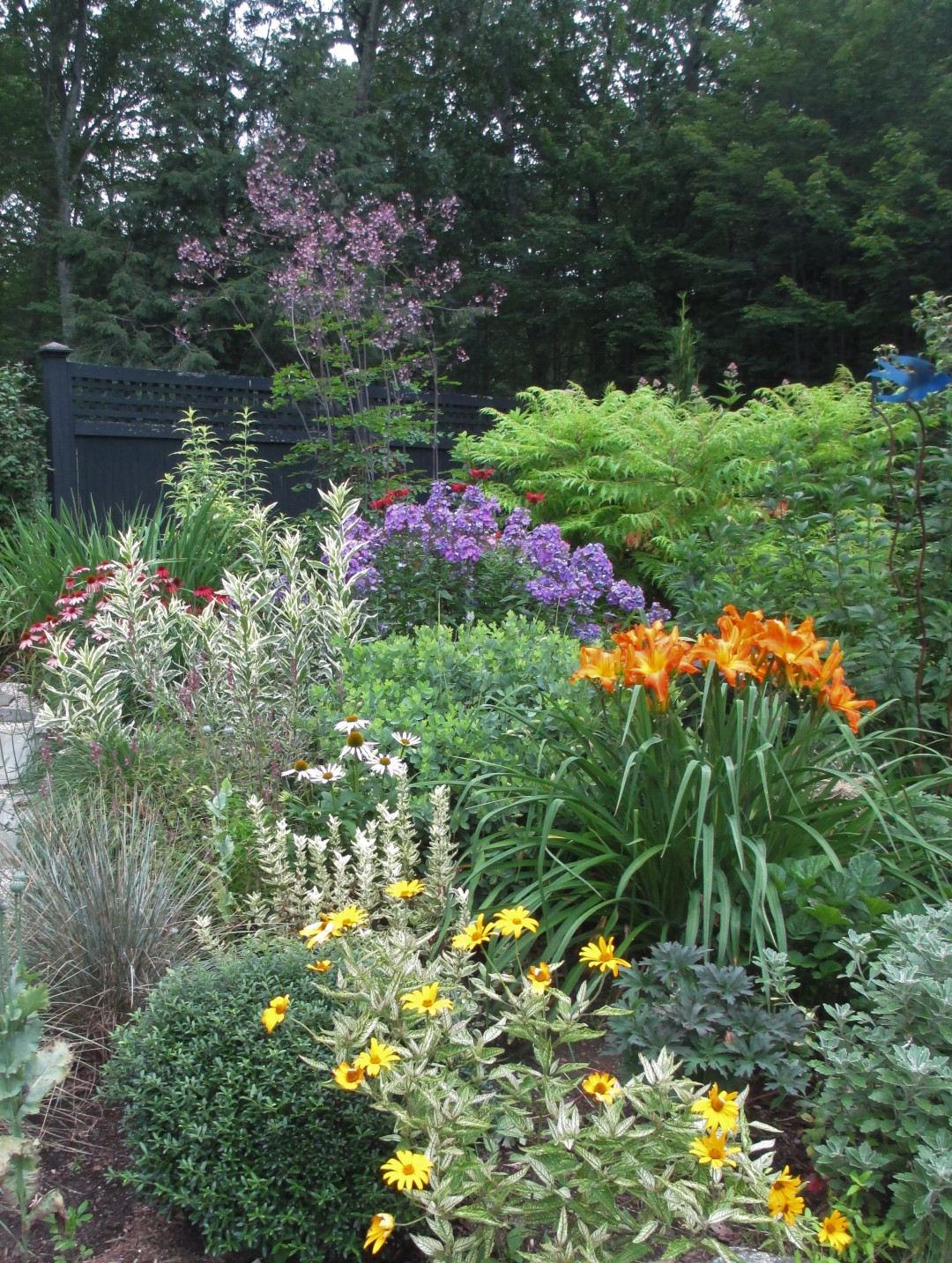 garden bed full of colorful blooming flowers