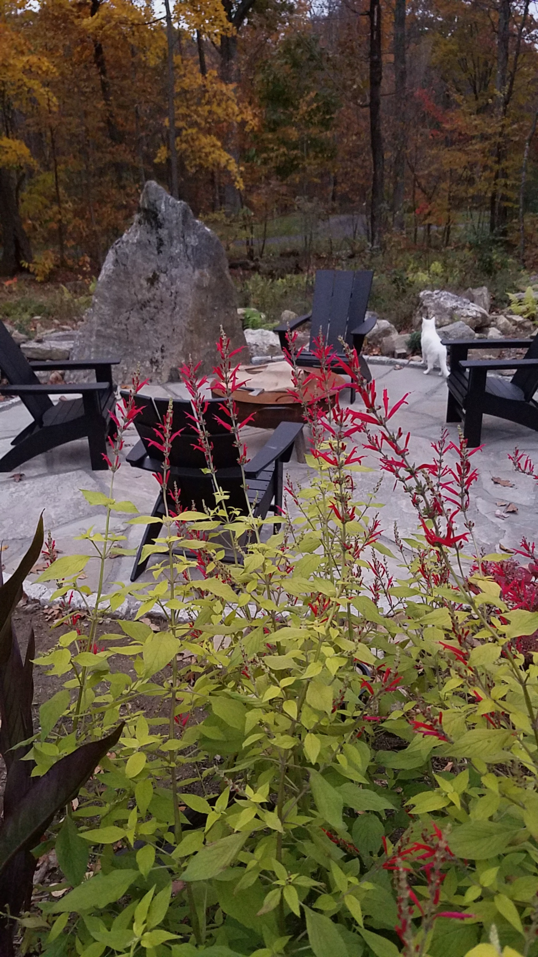 fire pit area of the garden in late fall