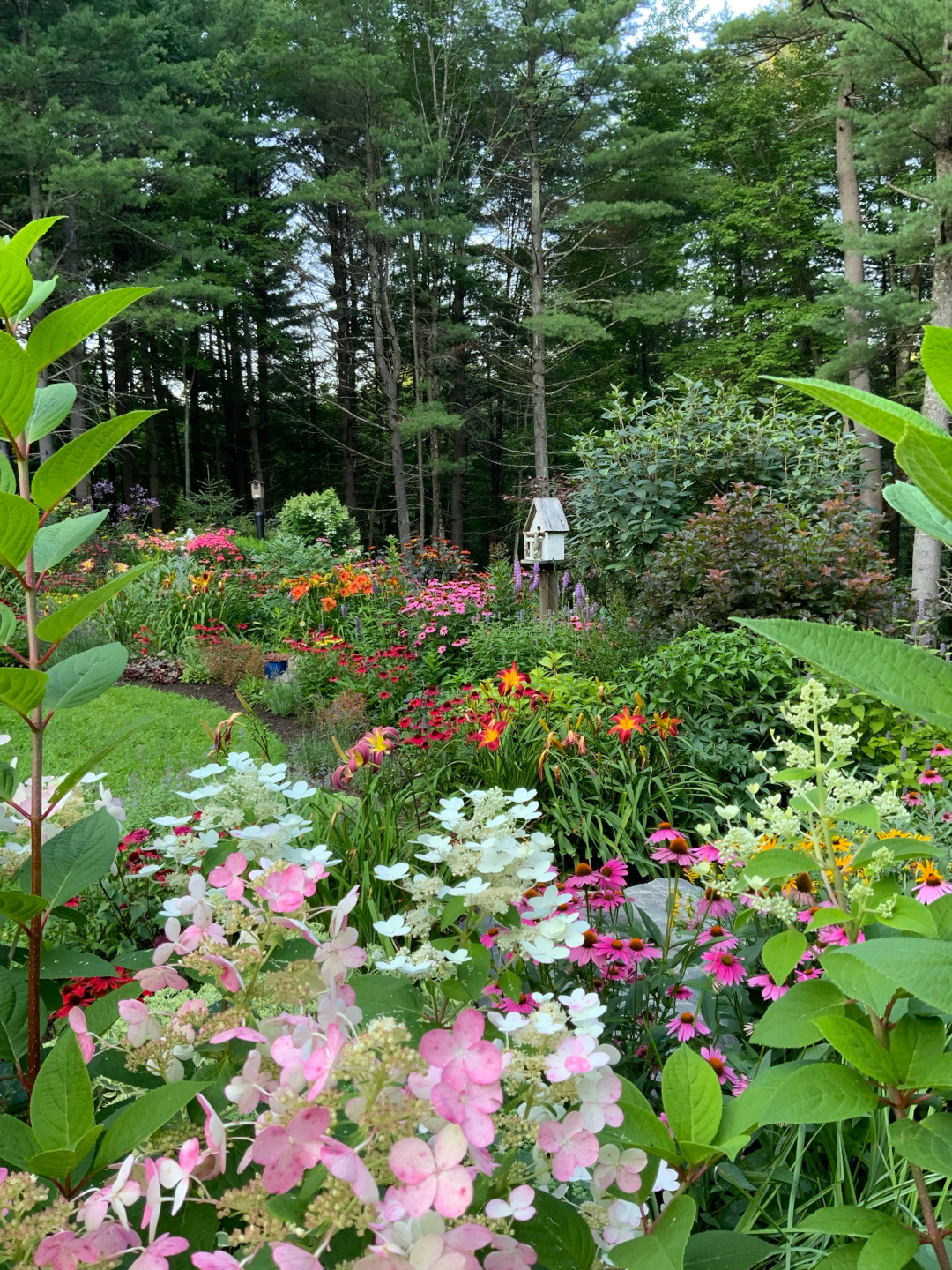 landscape after transformation, full of flowers