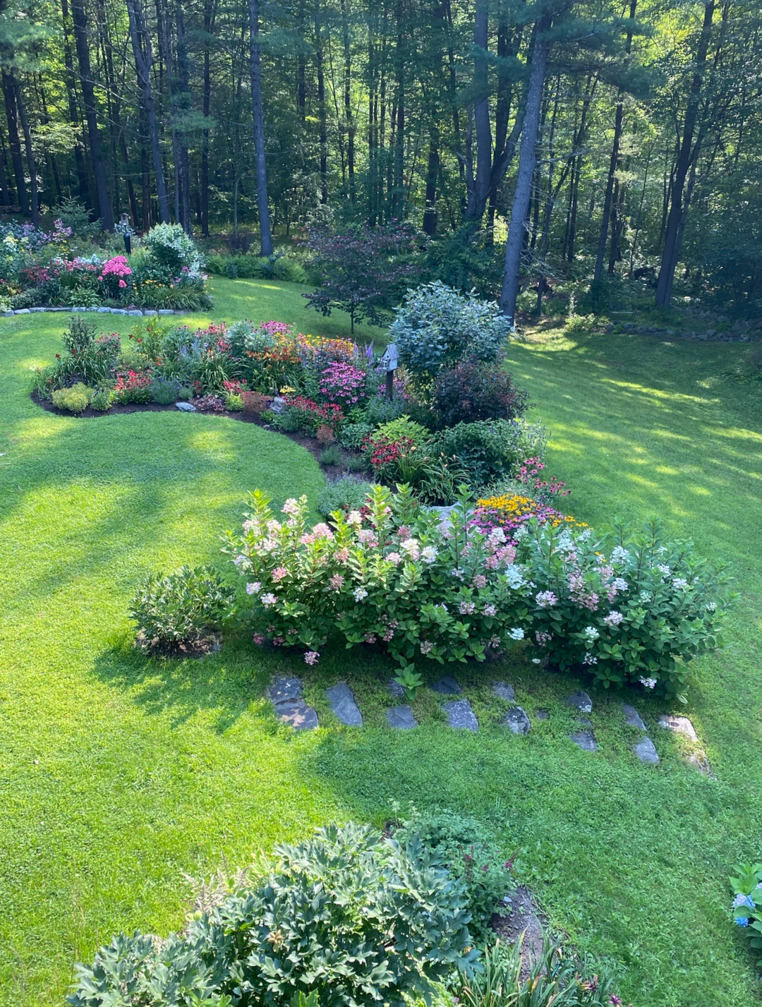 hedge of flowering shrubs in the garden