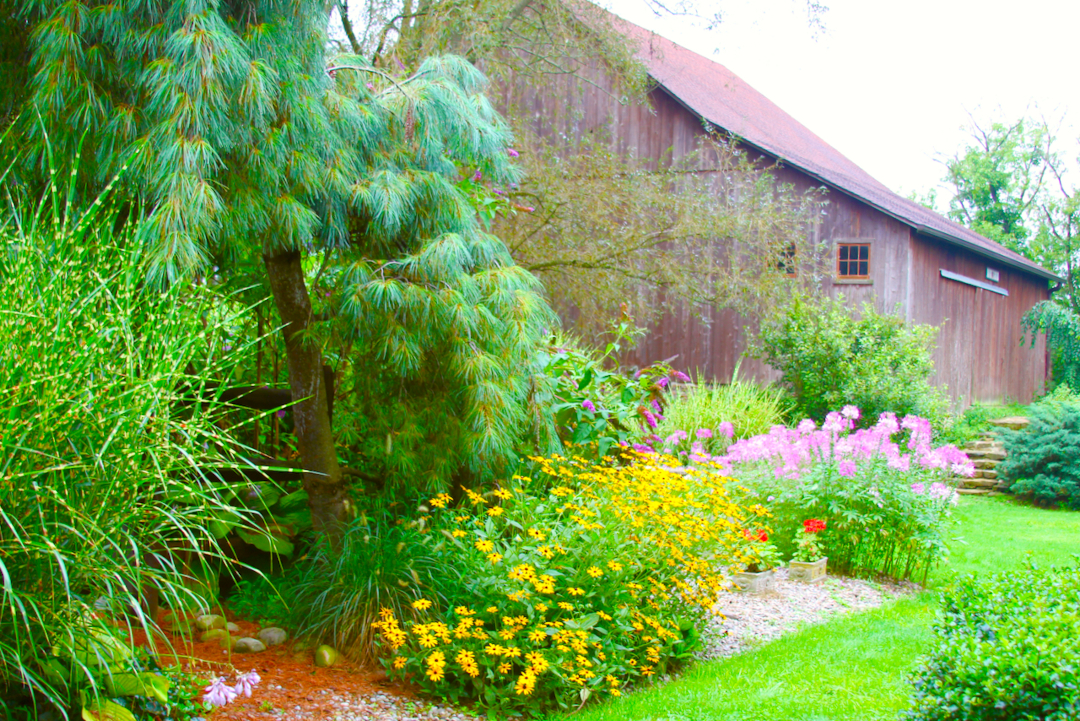 garden bed with yellow and pink flowers