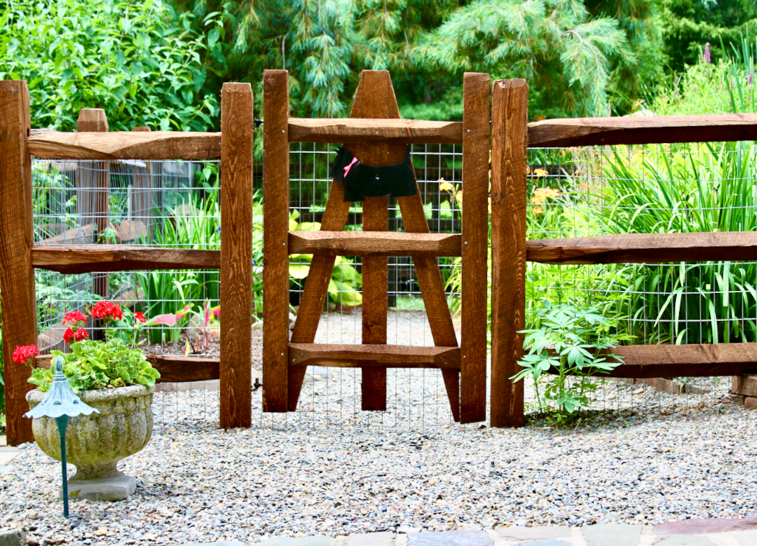 fenced in garden area for the owner's dog